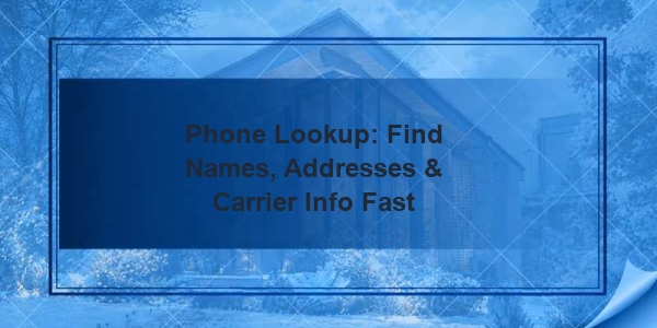 Phone Lookup: Find Names, Addresses & Carrier Info Fast